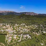 Modern Palmeras *