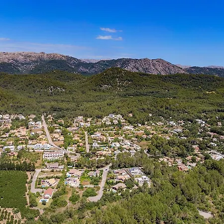 Modern Palmeras *