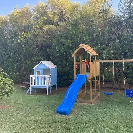 Modern Palmeras *