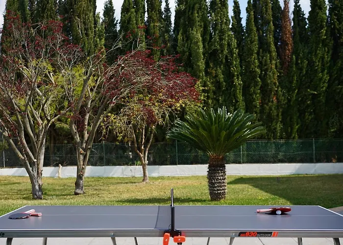 Modern Palmeras * Pollensa