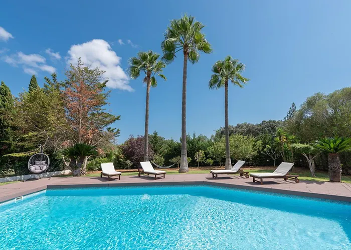 Modern Palmeras * Pollensa