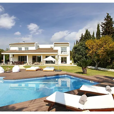Modern Palmeras
