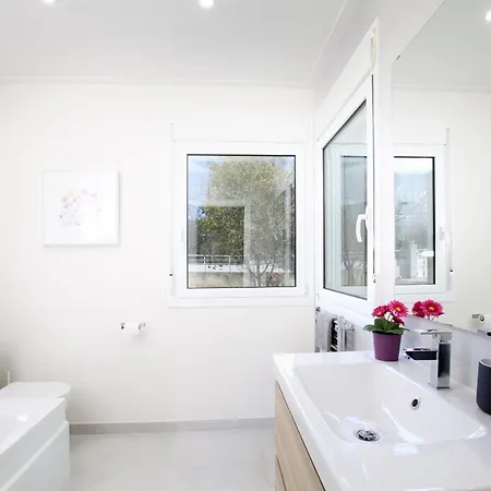 Modern Palmeras