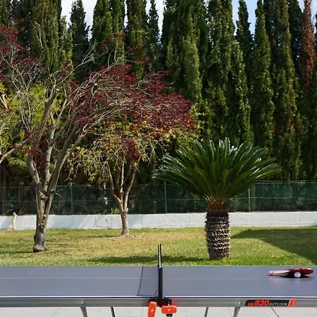 Modern Palmeras * Pollenca