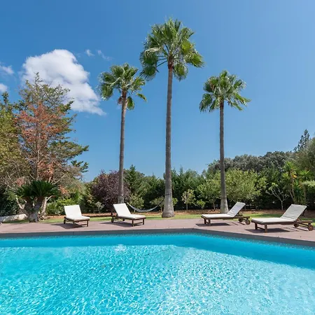 Modern Palmeras * Pollença