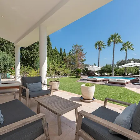 Modern Palmeras Villa