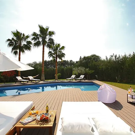 Modern Palmeras