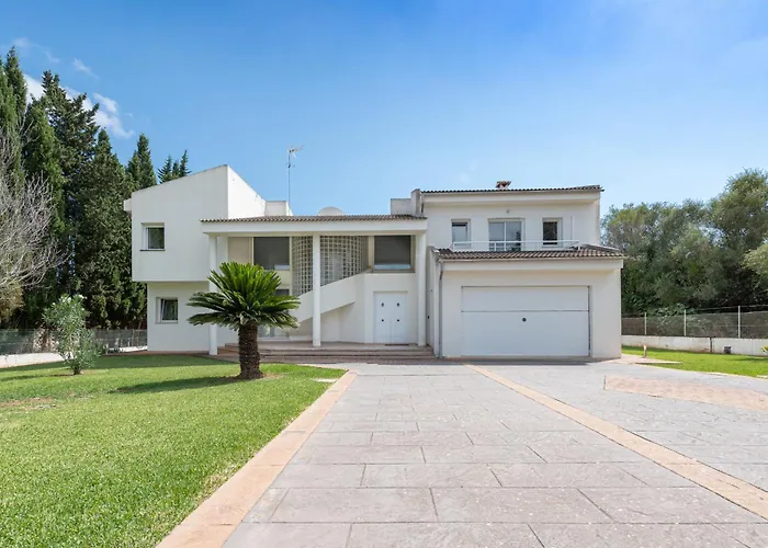 Modern Palmeras Pollença